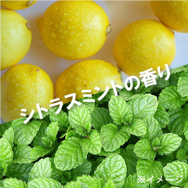 Premium White F1450 柑橘薄荷味